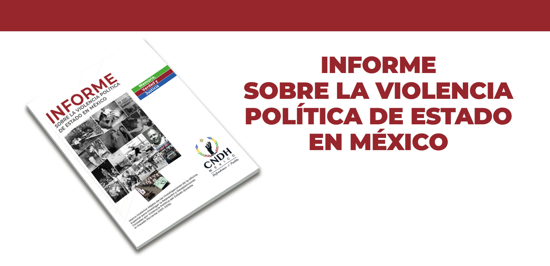 04_banner_Informe_ViolenciaPol.jpg